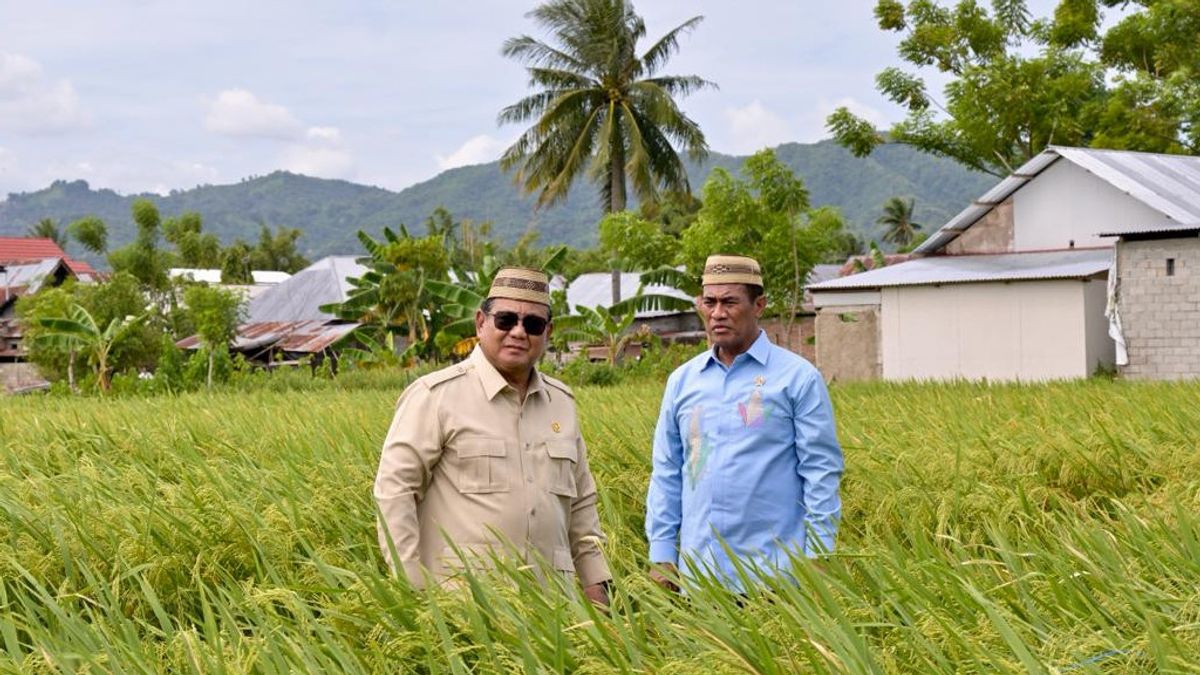 Setelah Pangan, Prabowo Bidik Swasembada Energi Lewat B50