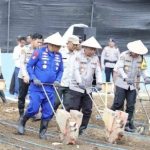 Polri Perkuat Ketahanan Pangan, Wakapolda Sumsel Kunjungi Kebun Jagung Produktif di Lubuk Linggau